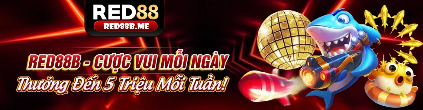 Hoàn trả hàng ngày/tuần tại Loto188